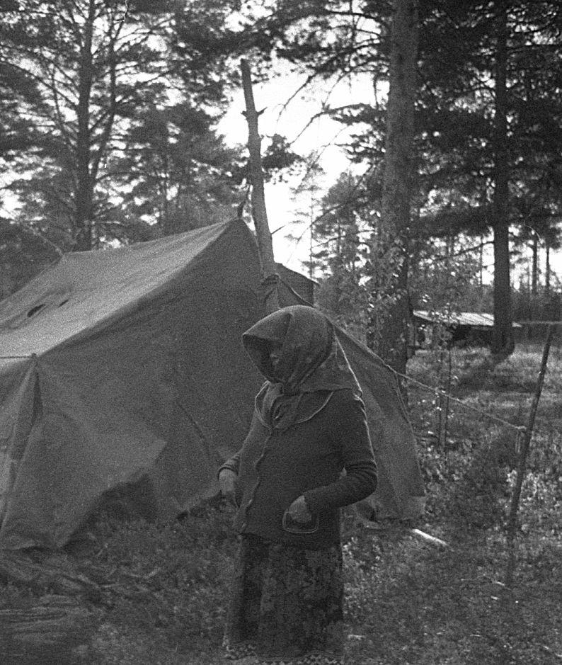 Hantide argipäev - Foto Maie Jõgi