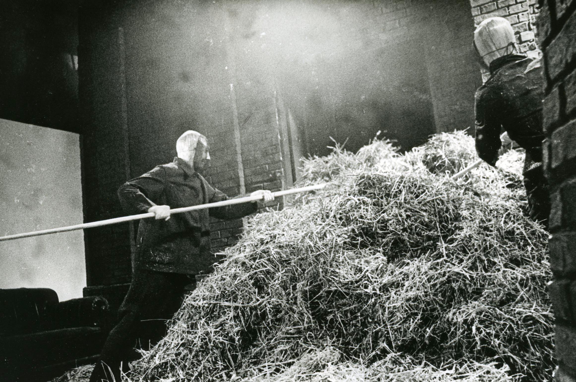 Foto Tõnu Talivee - Nukufilmi kogu