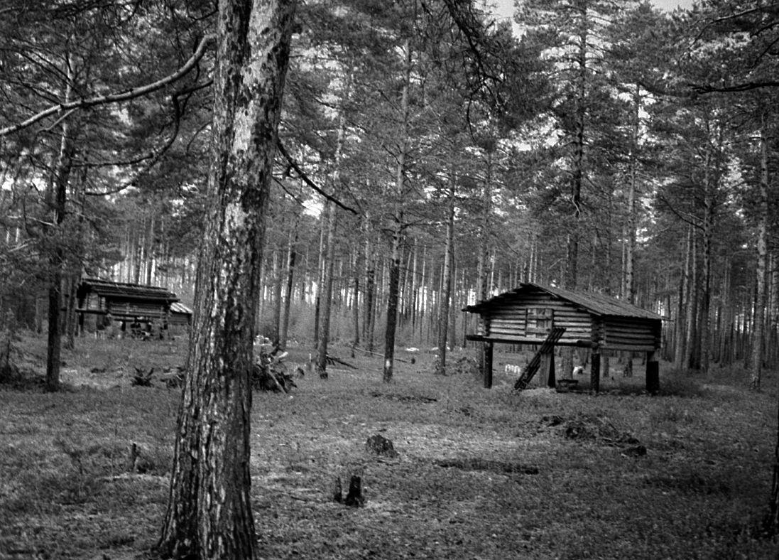 Võttepaigal - Foto Maie Jõgi