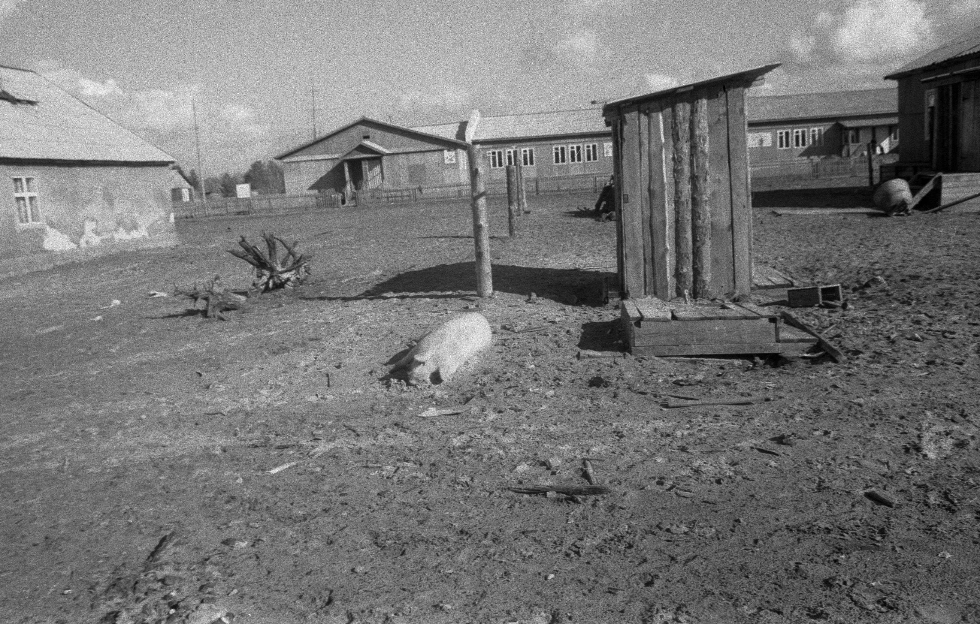 Vahepeatus Agani külas (1985)