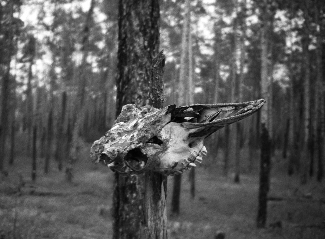 Võttepaigal - Foto Maie Jõgi