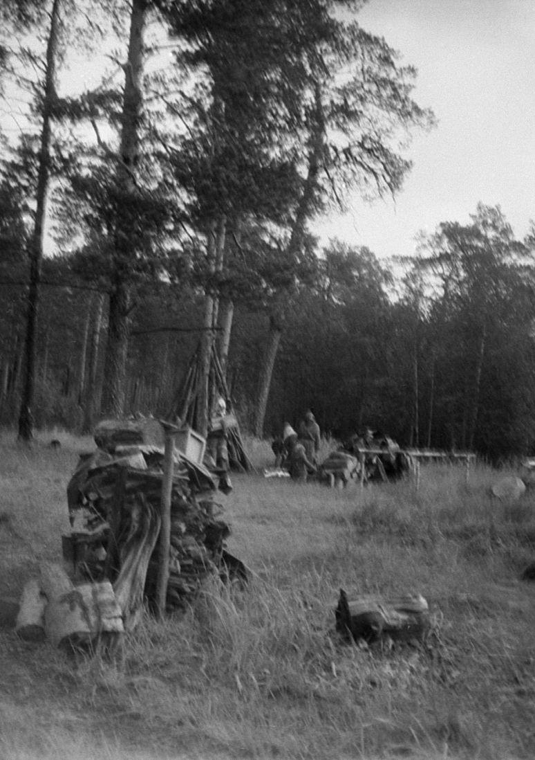 Hantide argipäev - Foto Maie Jõgi