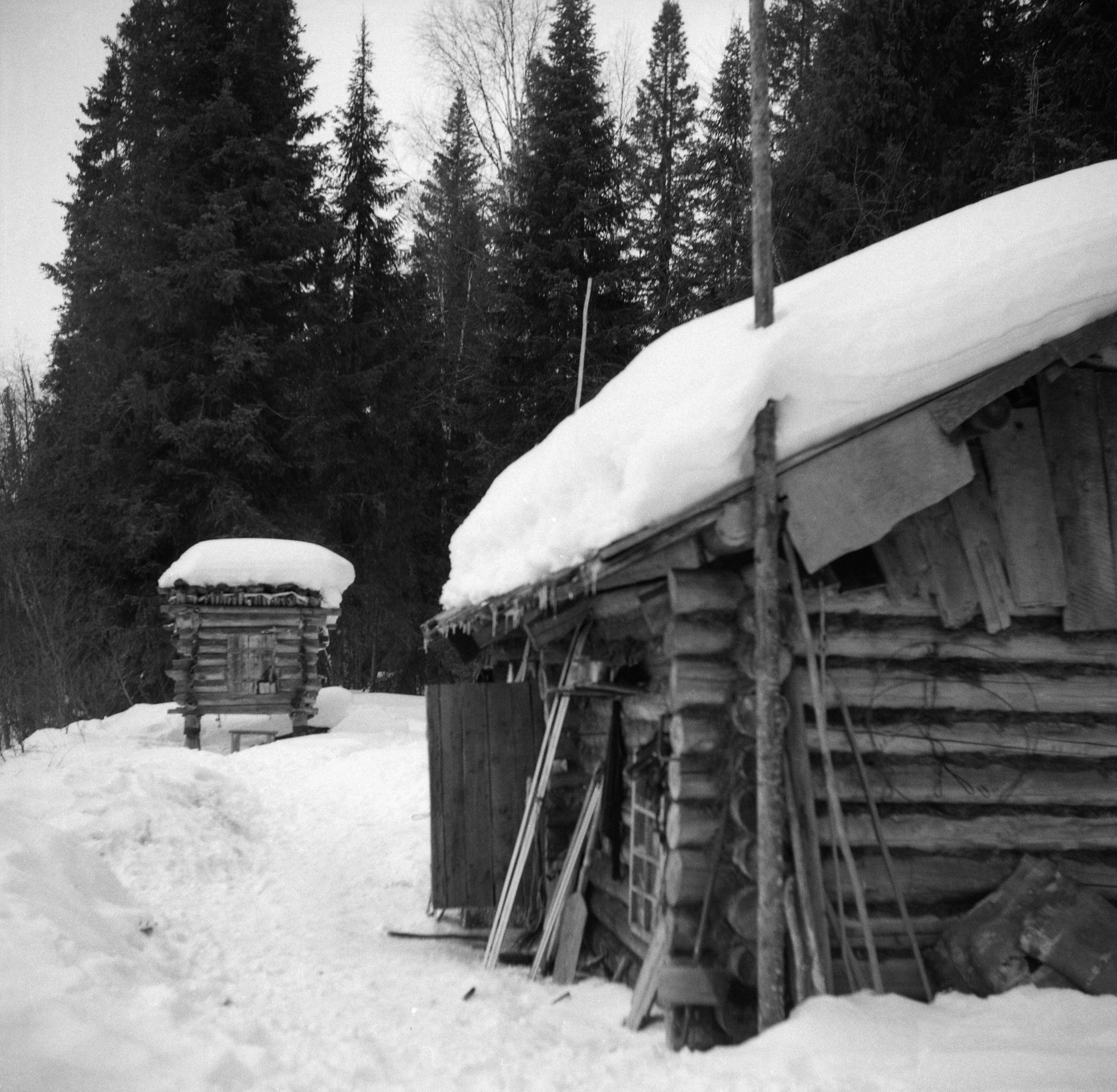 Filmivõtetel Komis - Foto Tõnu Seilenthal