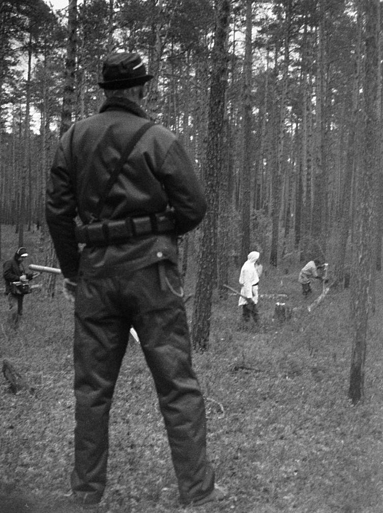 Karu maja ehitamine - Foto Maie Jõgi
