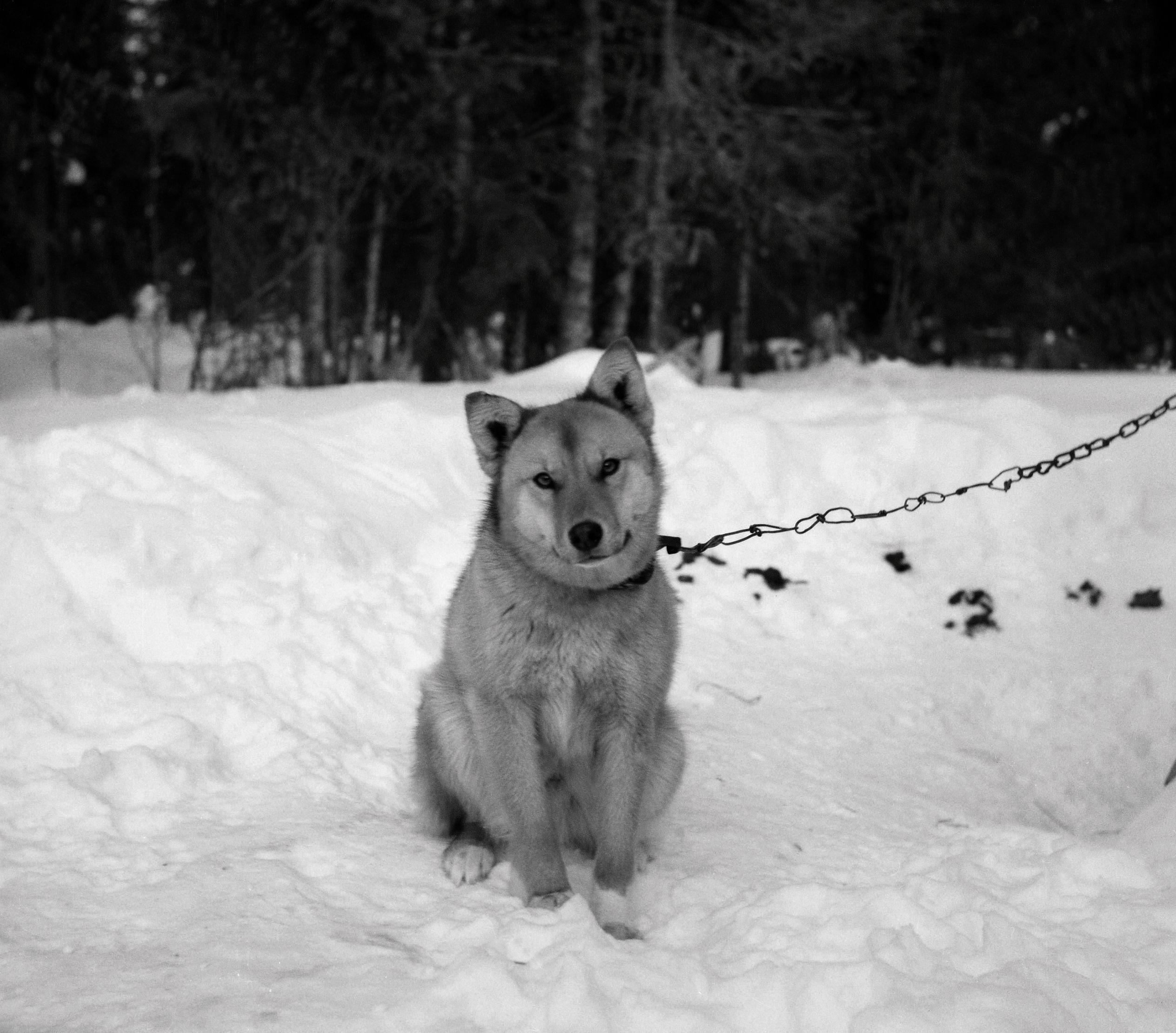 Filmivõtetel Komis - Foto Tõnu Seilenthal