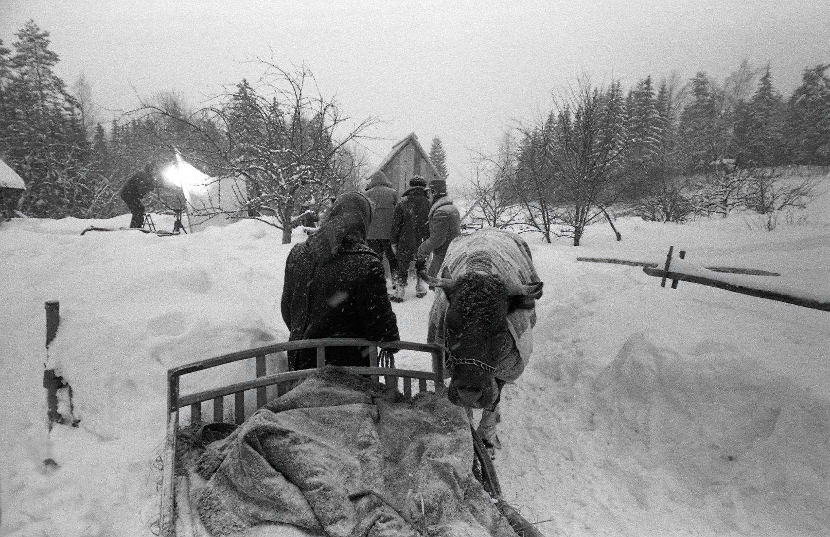 Piiri pere on ostnud uue lehma. 