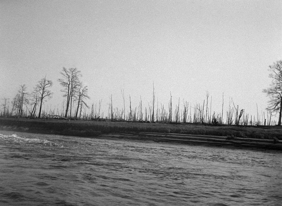 Filmigrupiga laeval - Foto Maie Jõgi