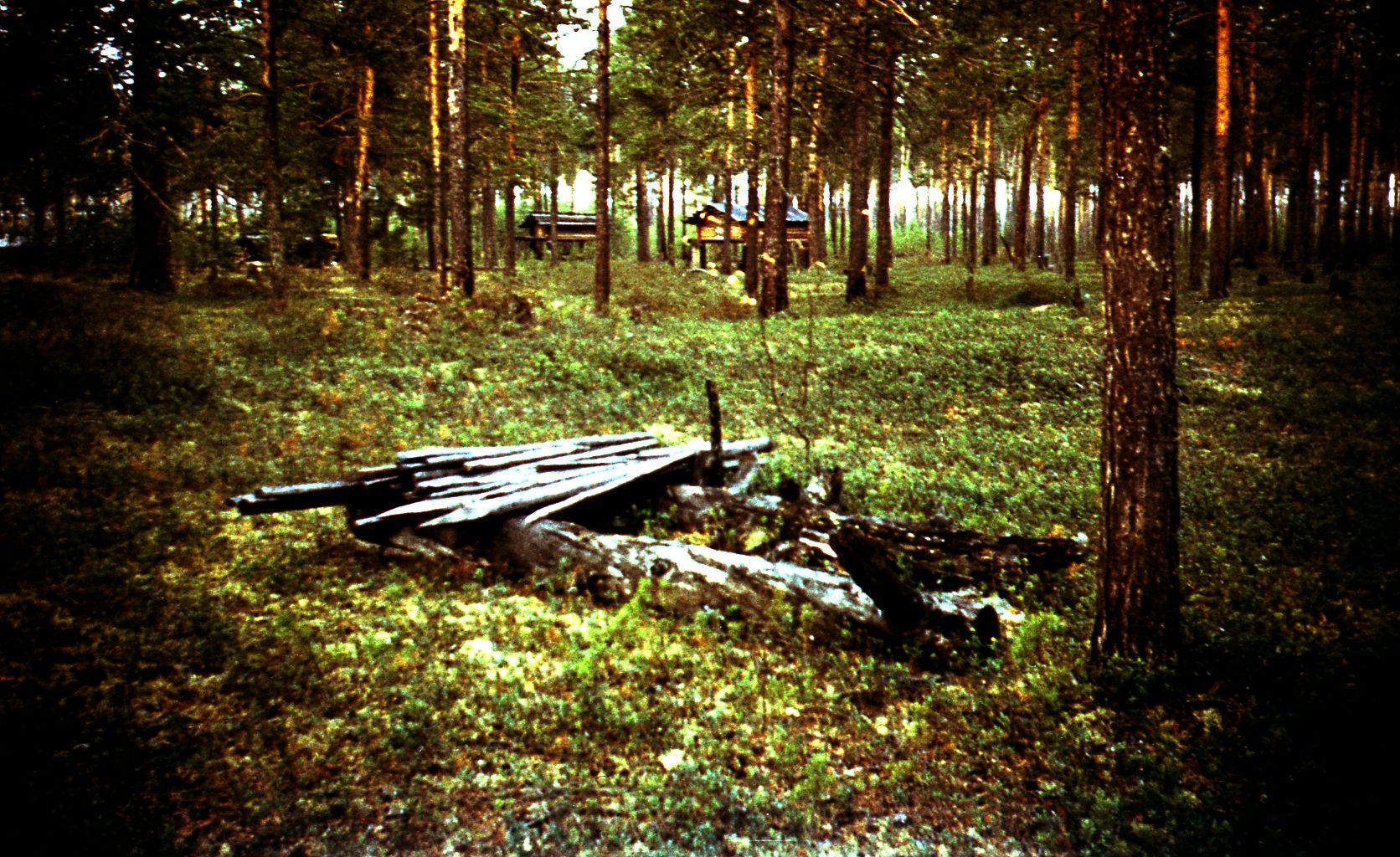 Filmivõtted Tõltšinite suveleeris (1985) - Foto Ago Ruus
