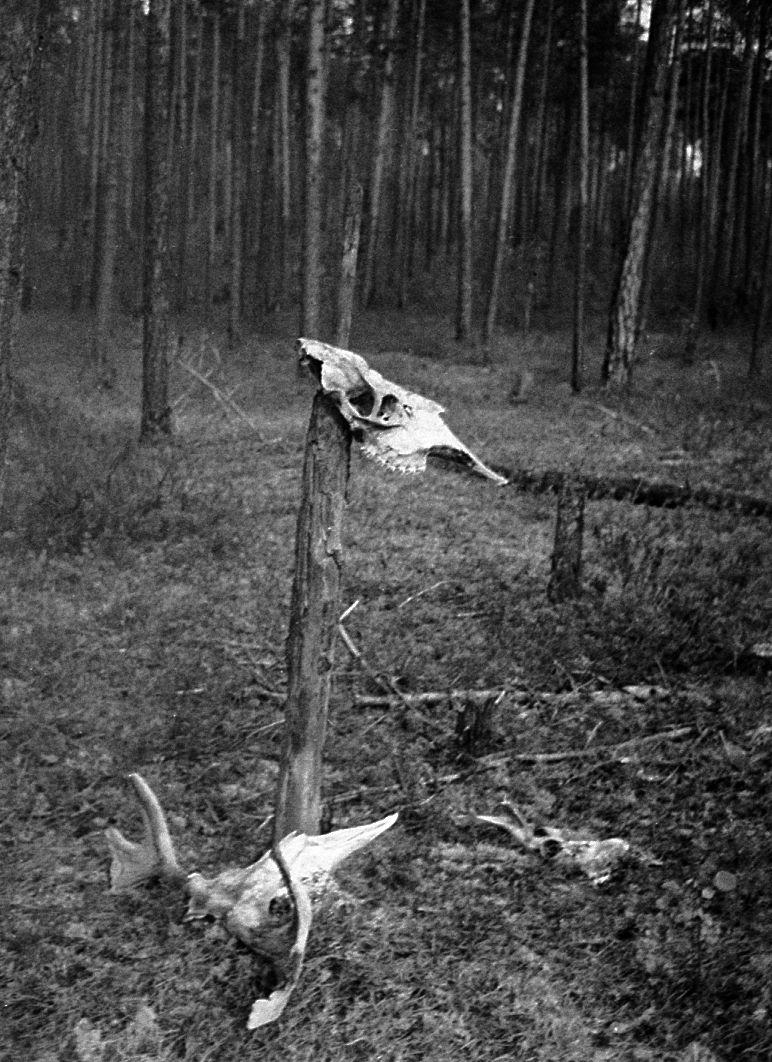 Võttepaigal - Foto Maie Jõgi
