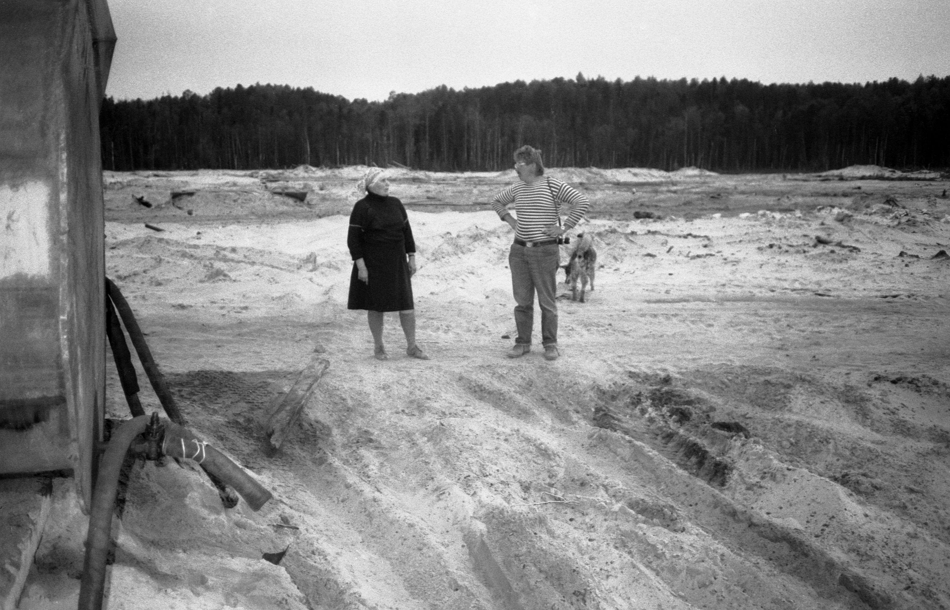 Filmigrupp teel (1988)