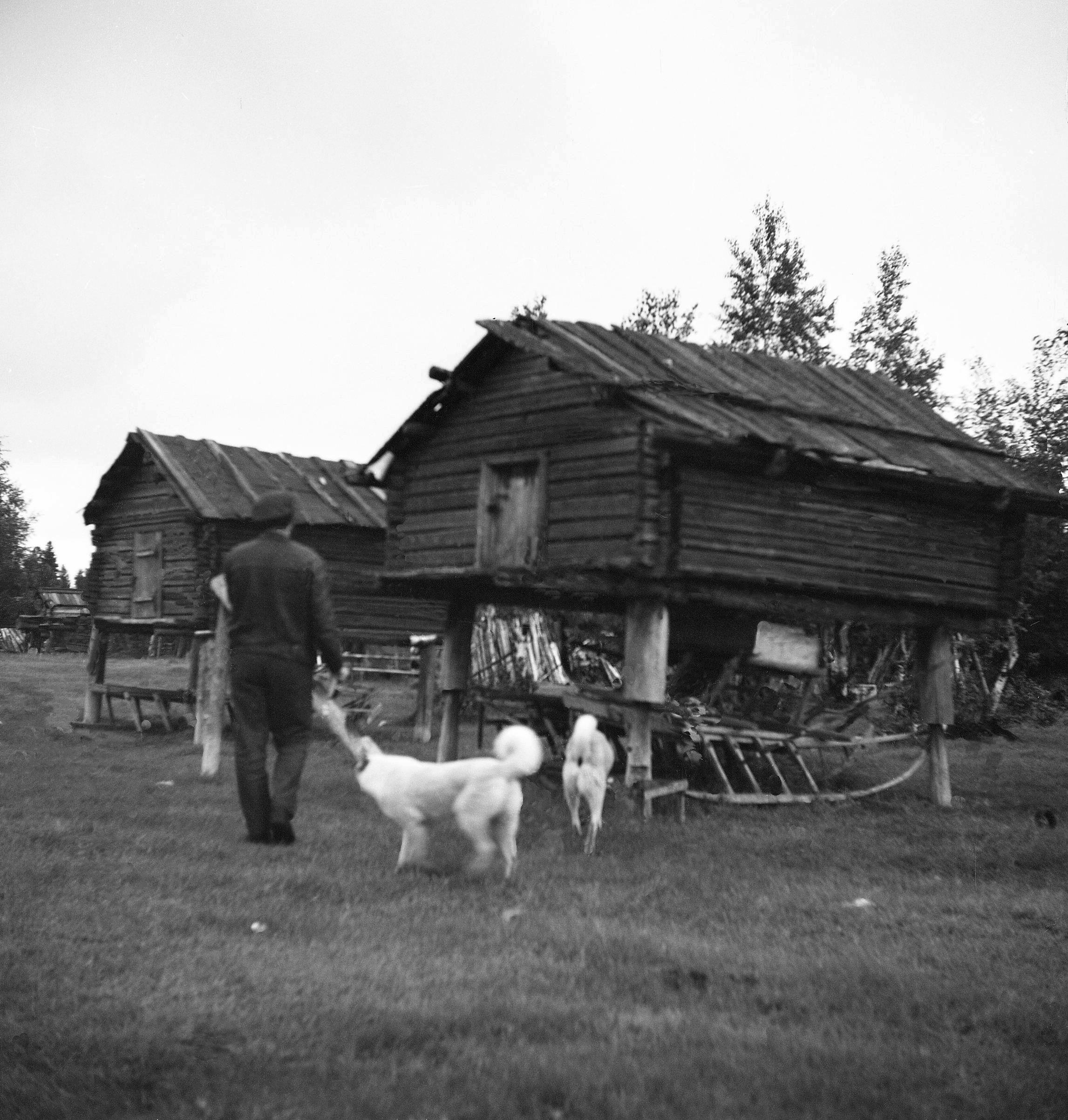 Filmivõtetel Siberis - Foto Tõnu Seilenthal