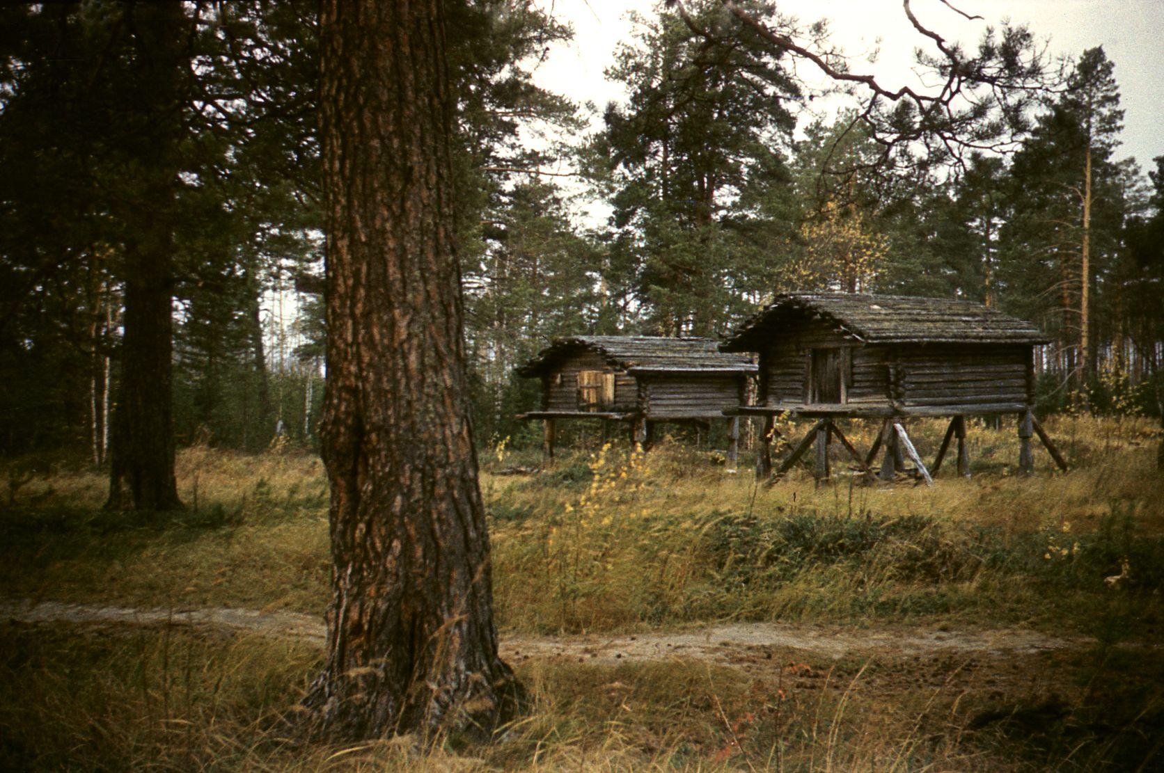 Filmivõtted Tõltšinite suveleeris (1985) - Foto Ago Ruus