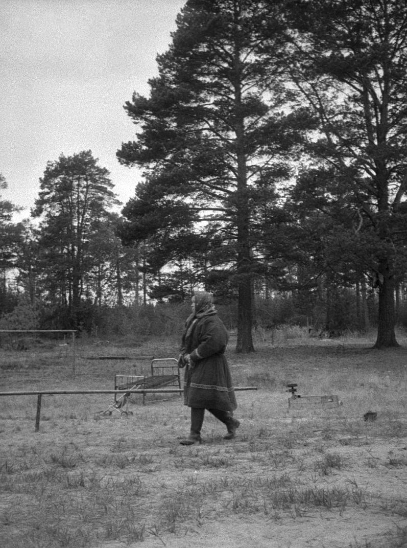 Hantide argipäev - Foto Maie Jõgi