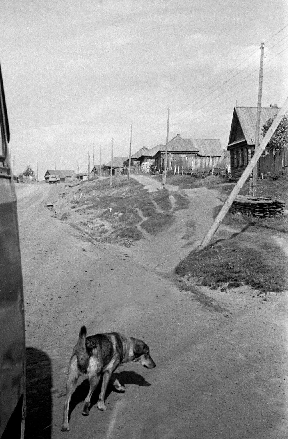 Filmivõtetel Siberis - Foto Tõnu Seilenthal