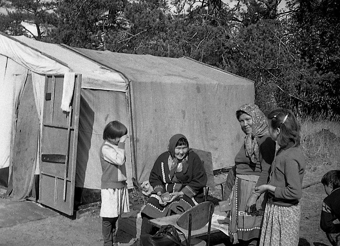 Hantide argipäev - Foto Maie Jõgi