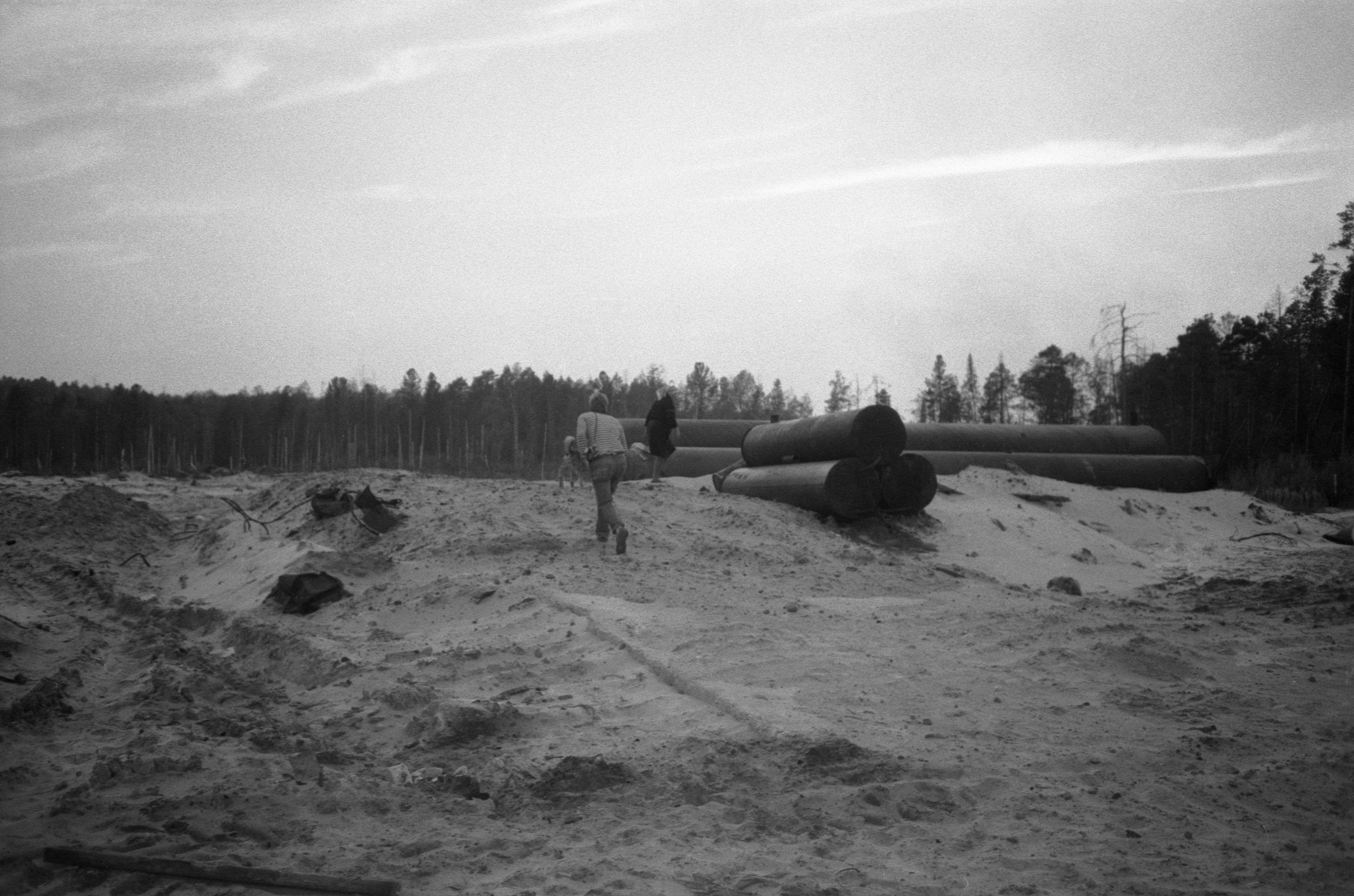 Filmigrupp teel (1988)
