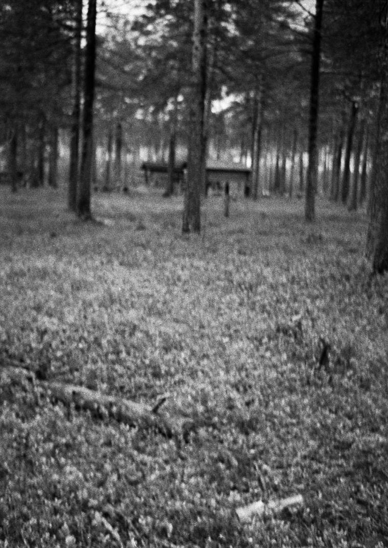 Võttepaigal - Foto Maie Jõgi