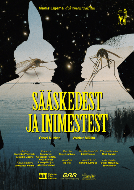 Sääskedest ja inimestest (2019) - Kunstnik Eleonora Shjanda - Davai Laama