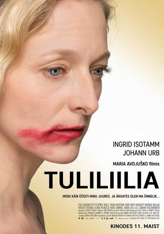 Tuliliilia (2018) - Meteoriit