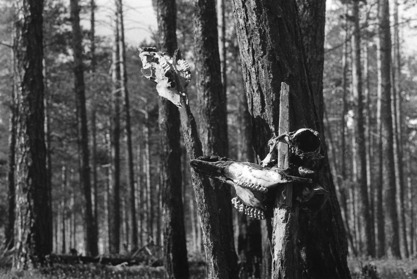 Tõltšinite juures (1988) - Foto Enn Säde