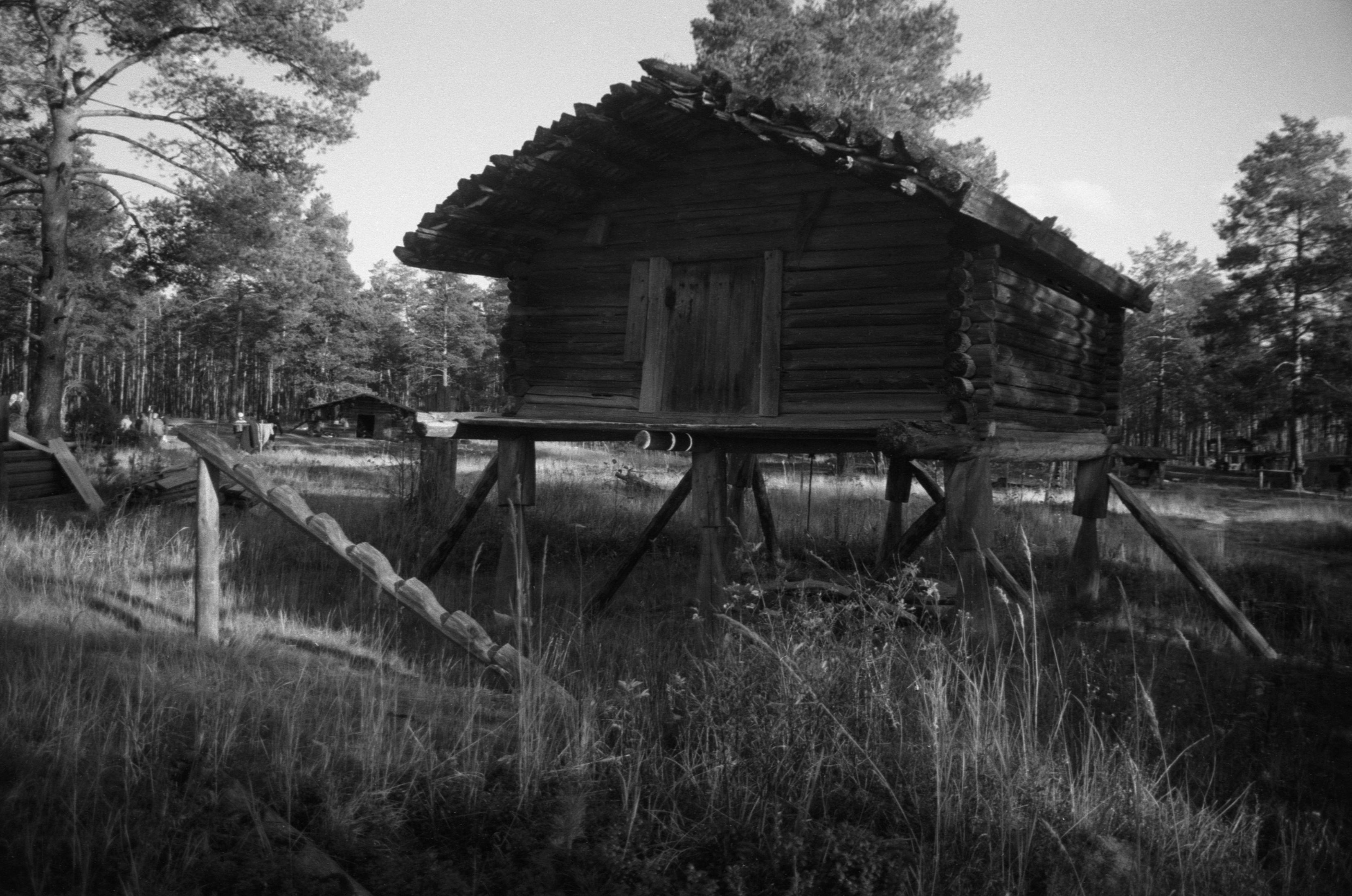 Suveleeris (1985) 