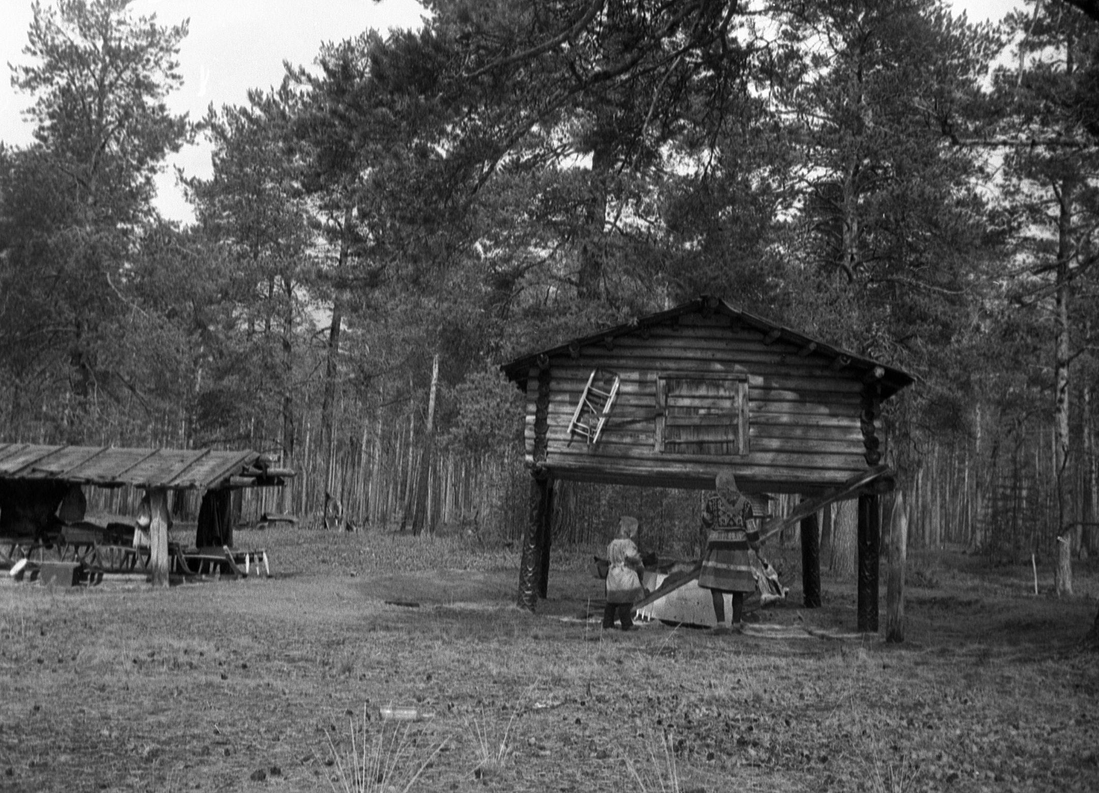 Filmivõtted sammasaida juures - Foto Maie Jõgi
