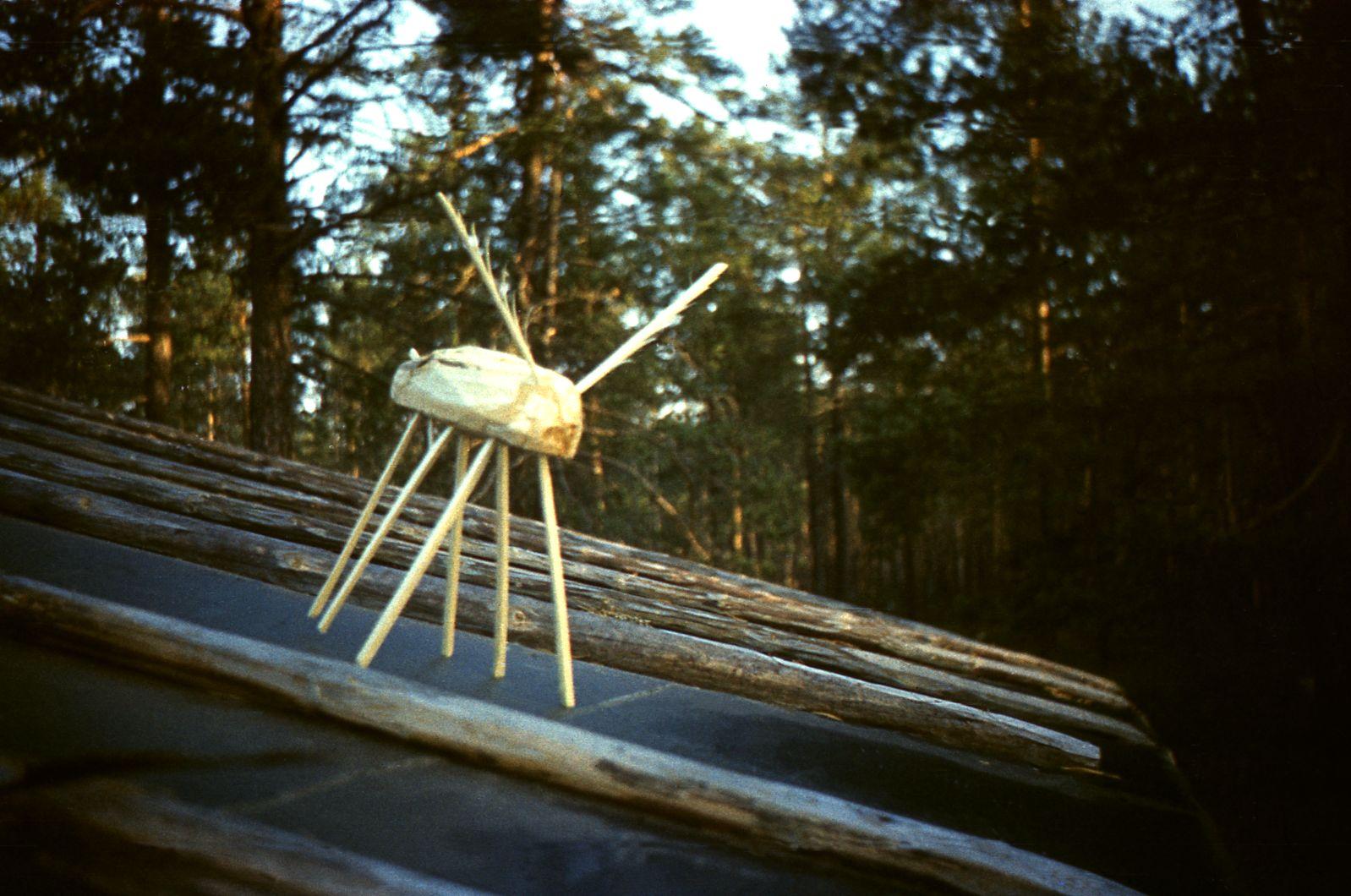 Filmivõtted Tõltšinite suveleeris (1985) - Foto Ago Ruus