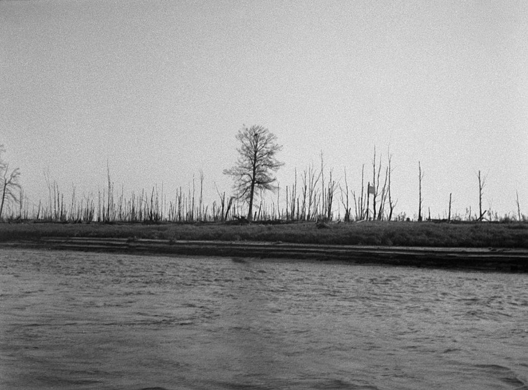 Filmigrupiga laeval - Foto Maie Jõgi