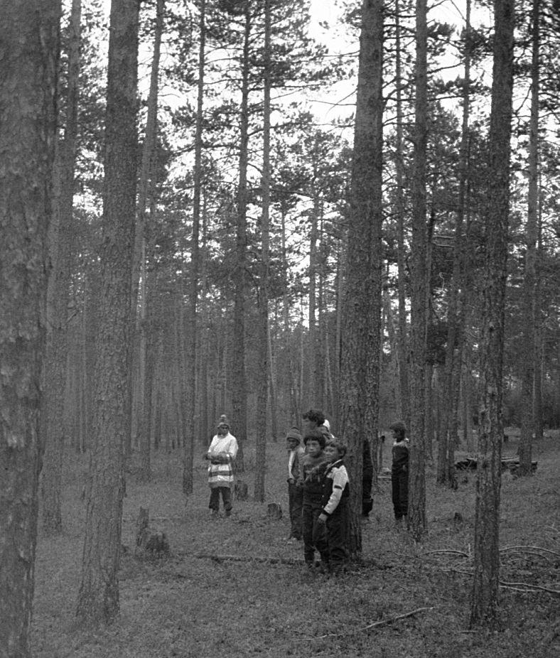 Karu maja ehitamine - Foto Maie Jõgi