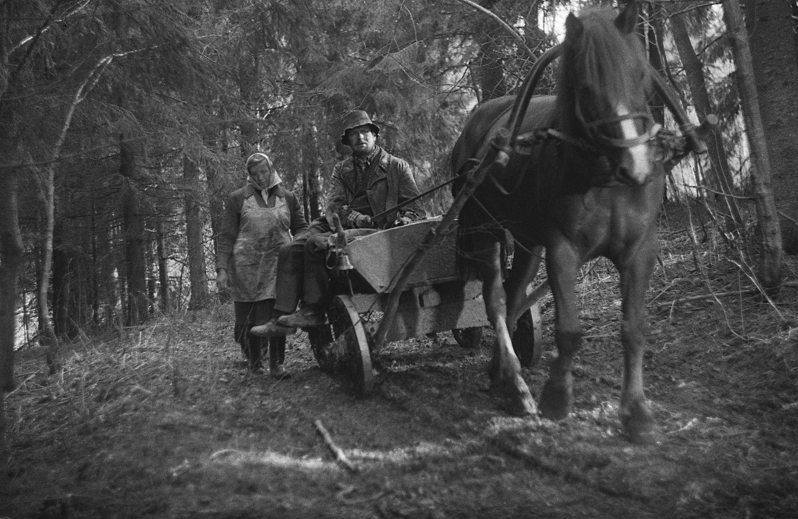 Roosi Piiri osatäitja Nelli Taar ja Jüri Piiri osatäitja Rudolf Allabert. 