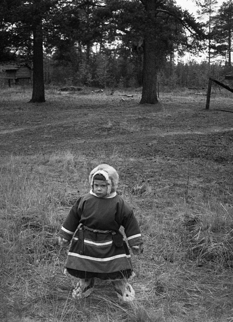 Hantide argipäev - Foto Maie Jõgi