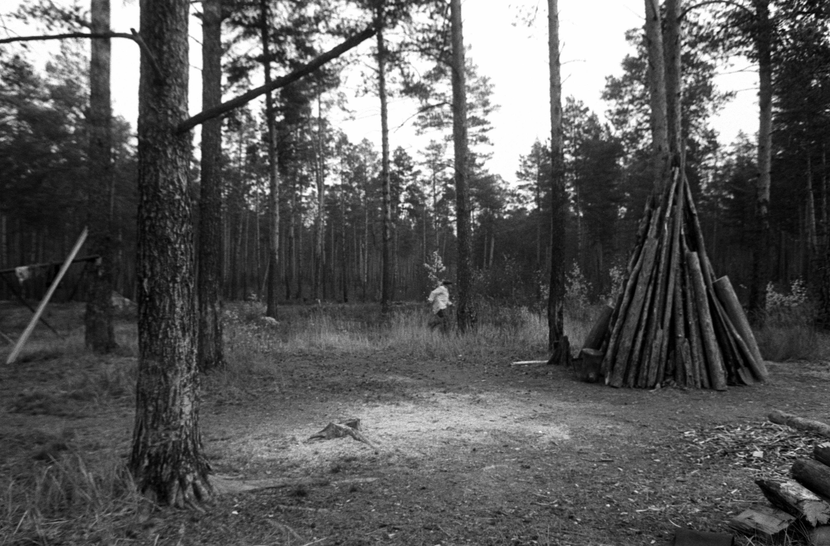 Suveleeris (1985) 