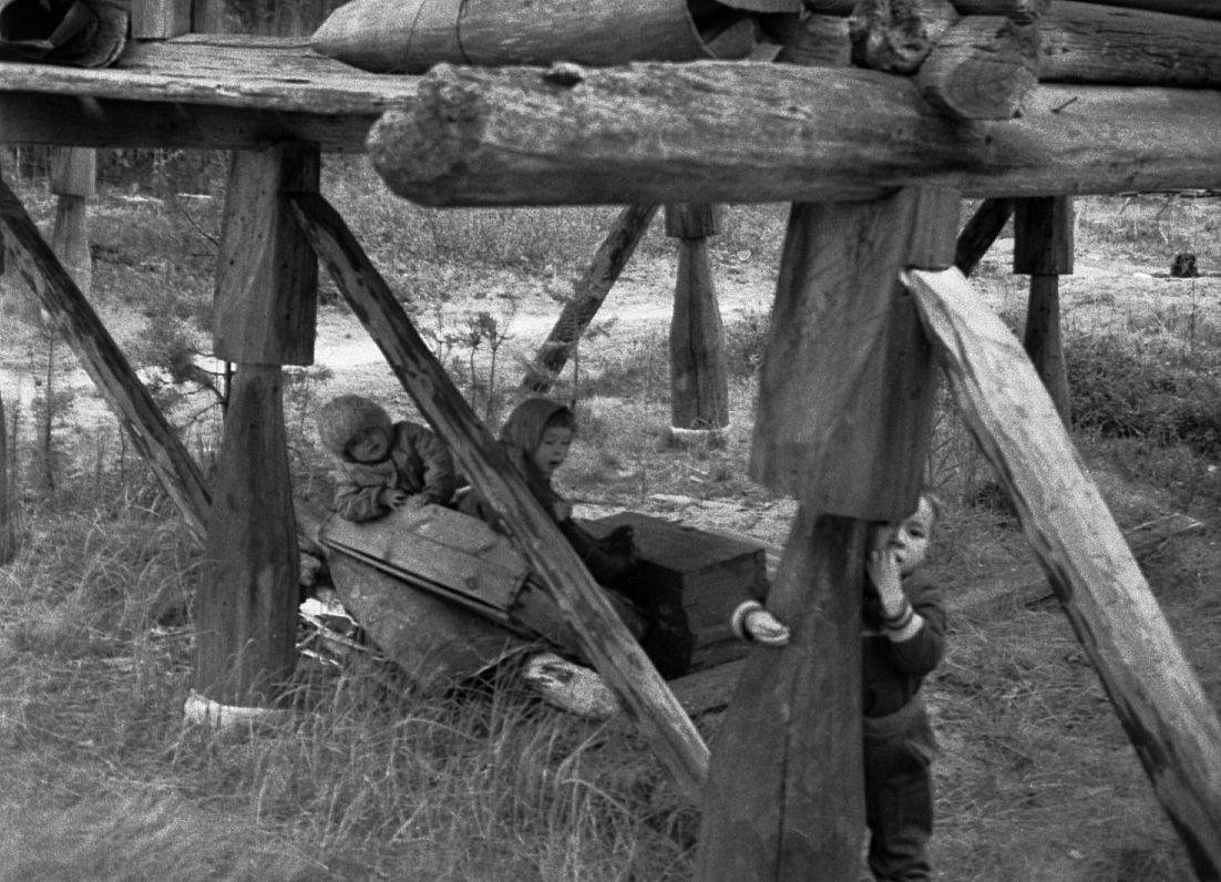 Hantide argipäev - Foto Maie Jõgi