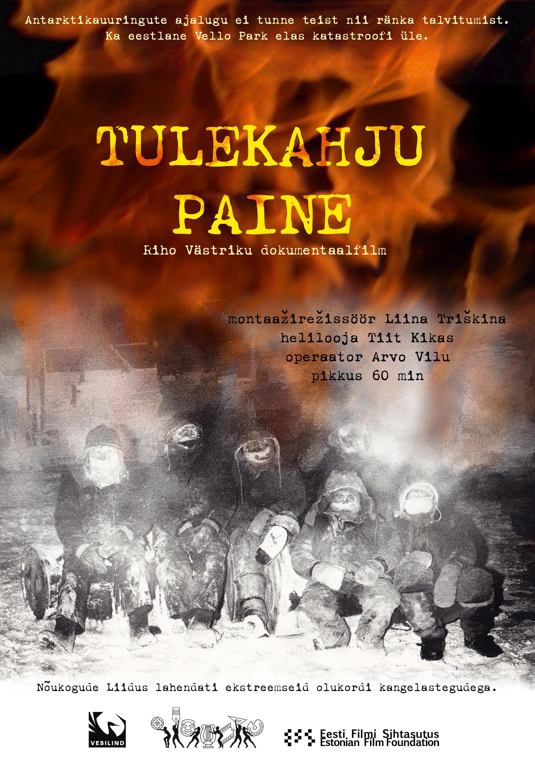 Tulekahju paine (2013) - Vesilind