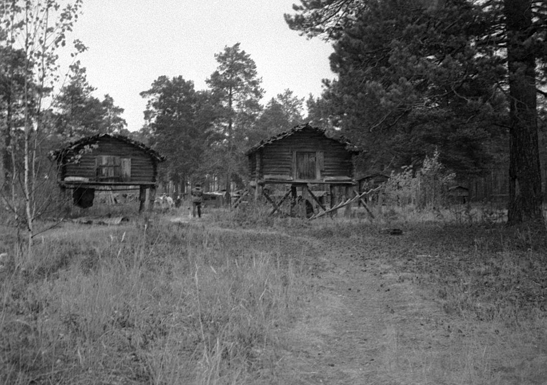 Võttepaigal - Foto Maie Jõgi