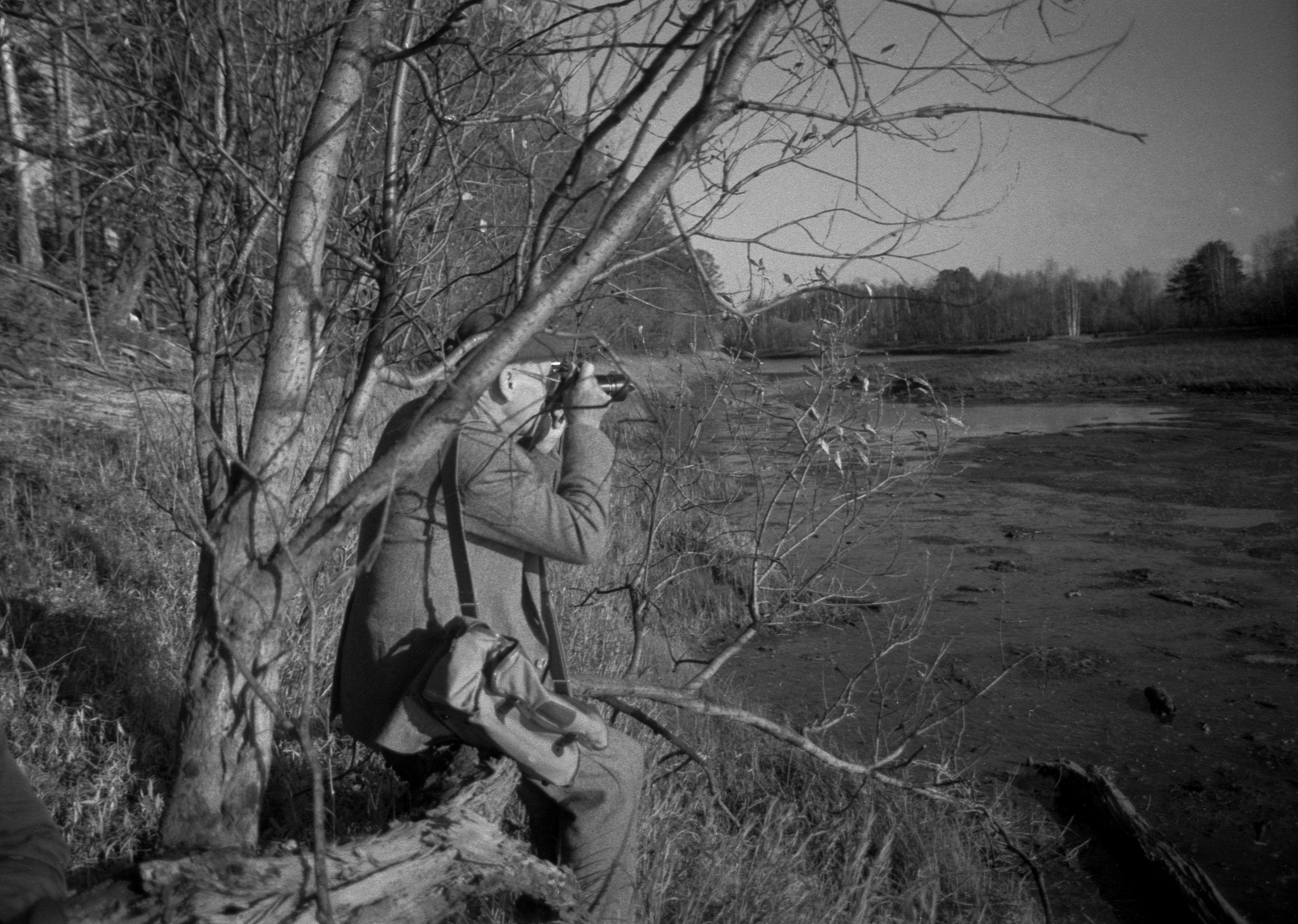 Suveleeris (1985) 