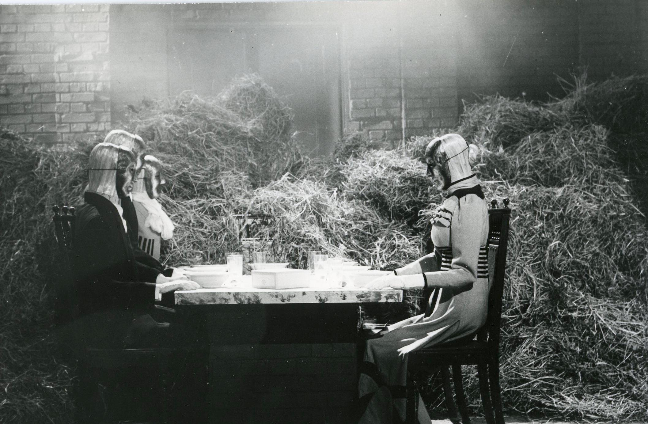 Foto Tõnu Talivee - Nukufilmi kogu