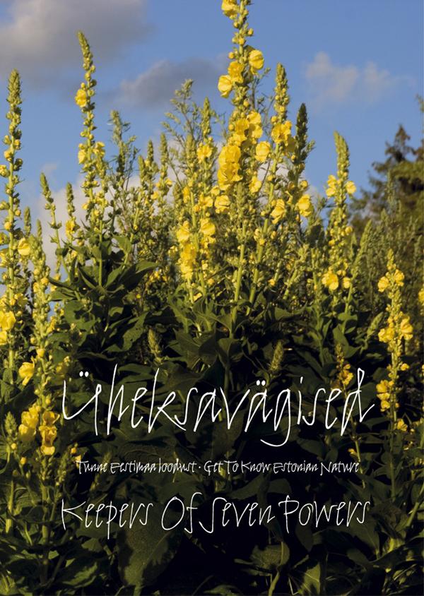 Üheksavägised (2010) - Gaviafilmi kogu
