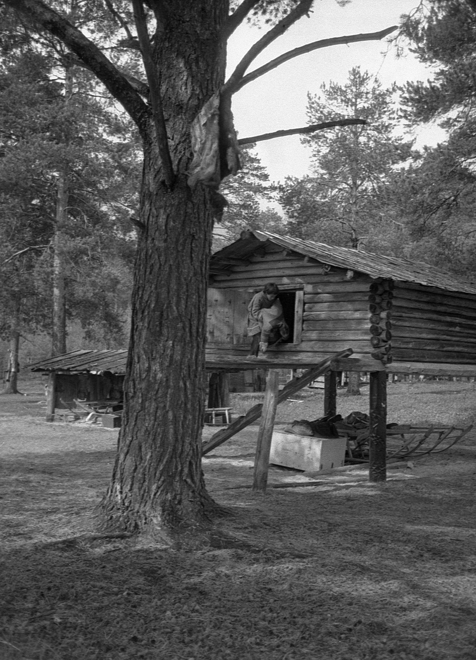 Filmivõtted sammasaida juures - Foto Maie Jõgi
