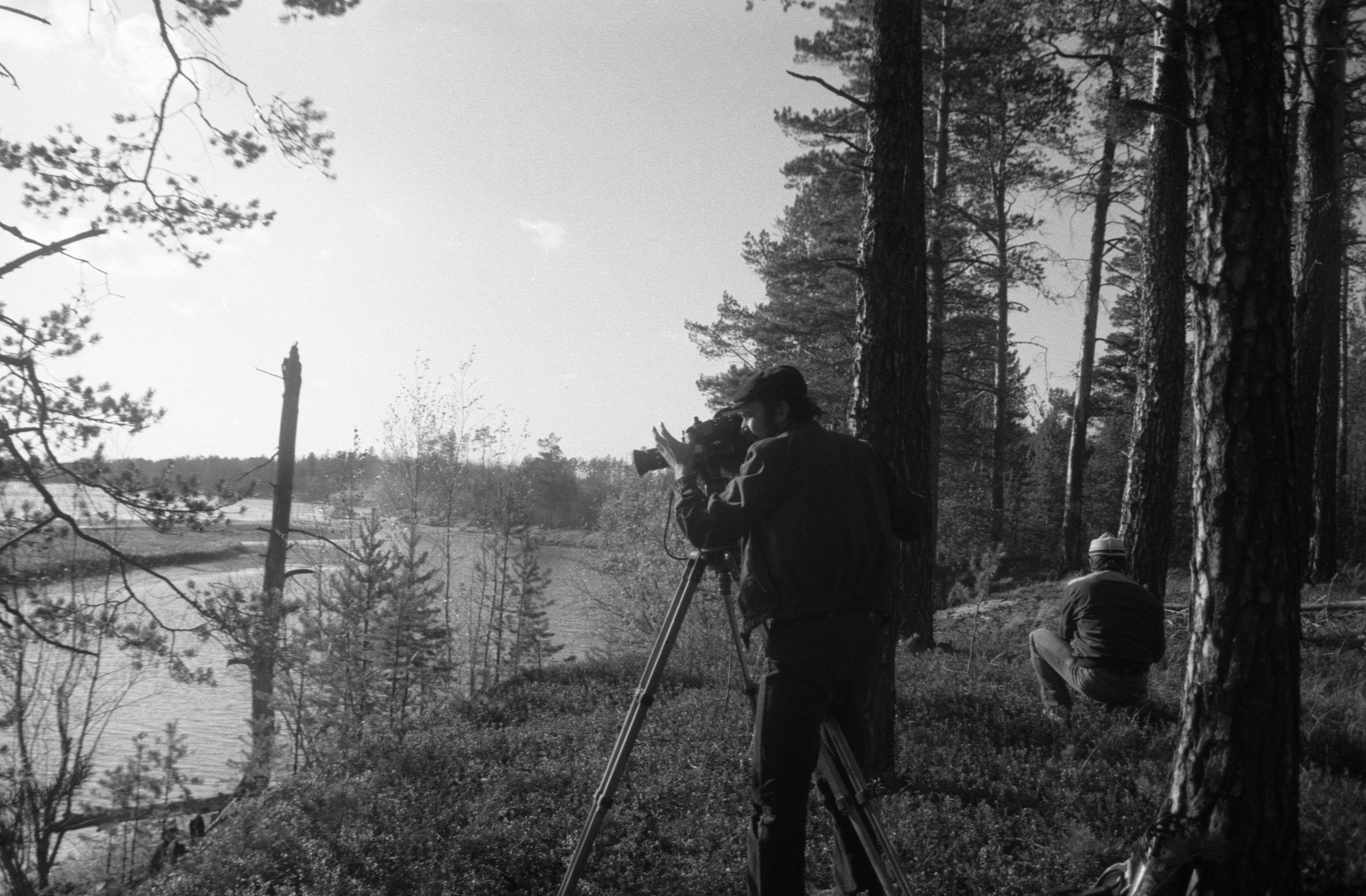 Suveleeris (1985) 