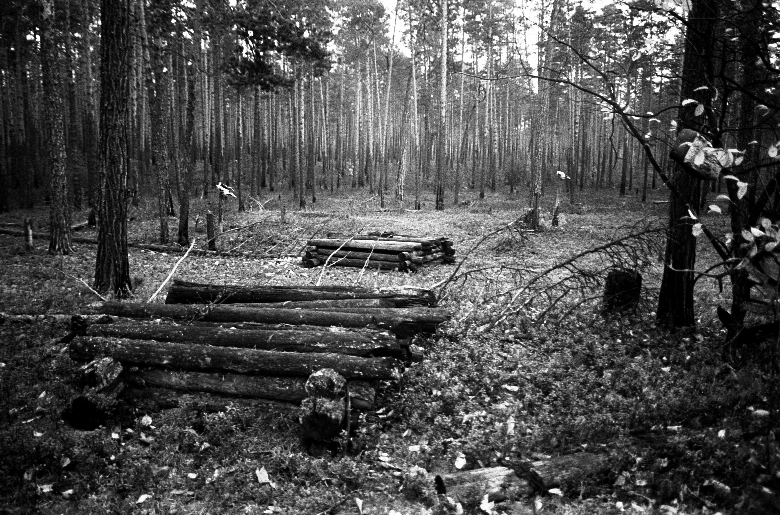 Handi tare ümbruses (1988)