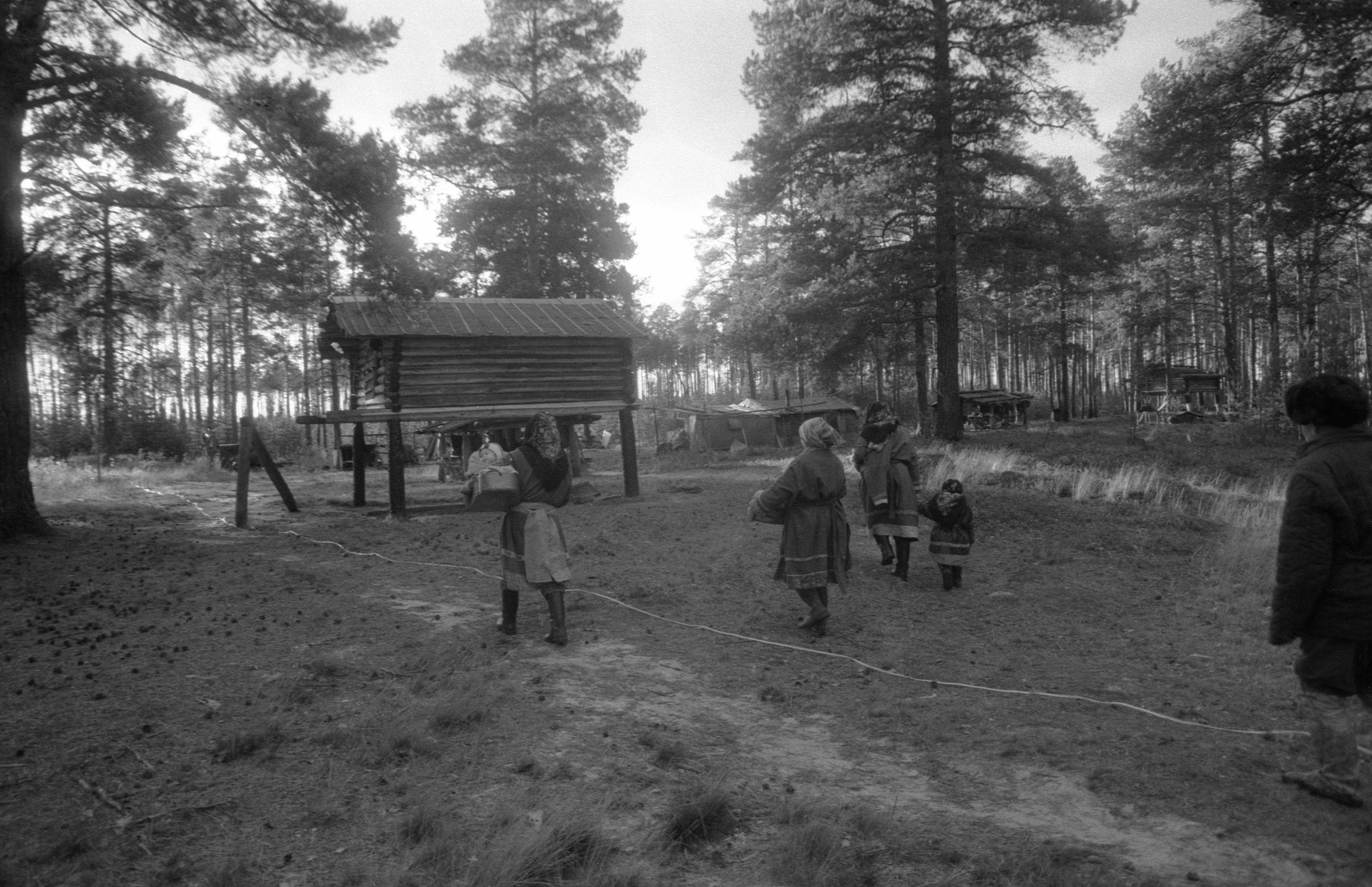 Suveleeris (1985) 