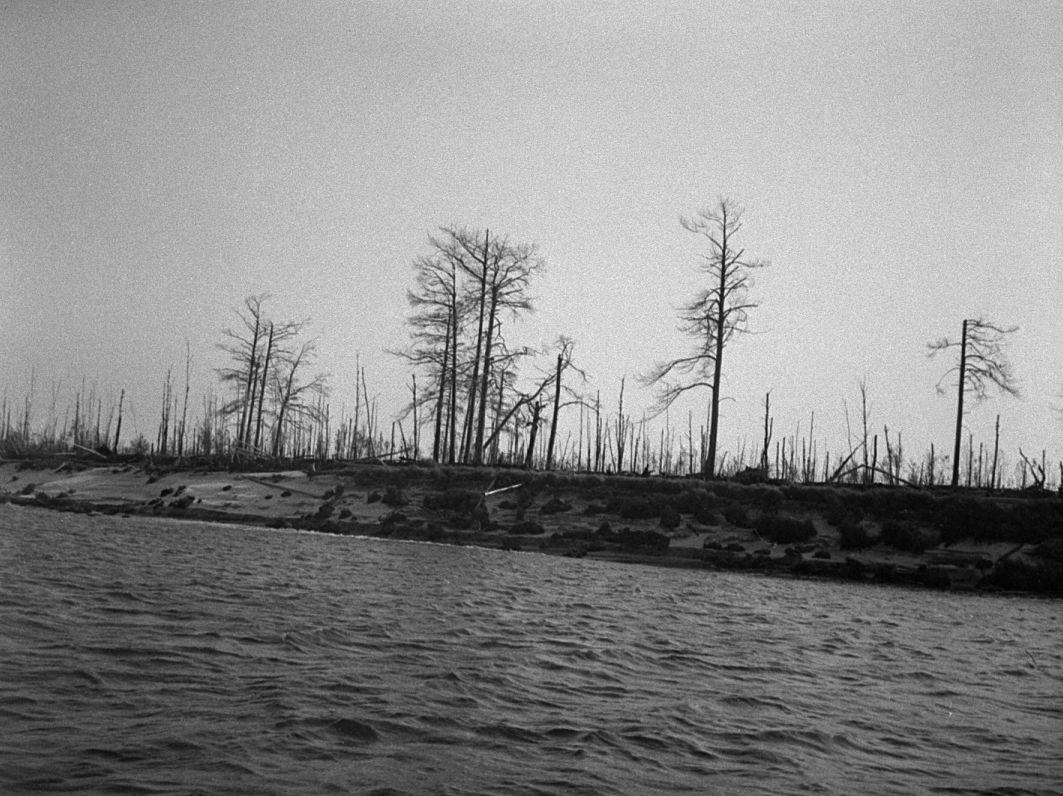 Filmigrupiga laeval - Foto Maie Jõgi