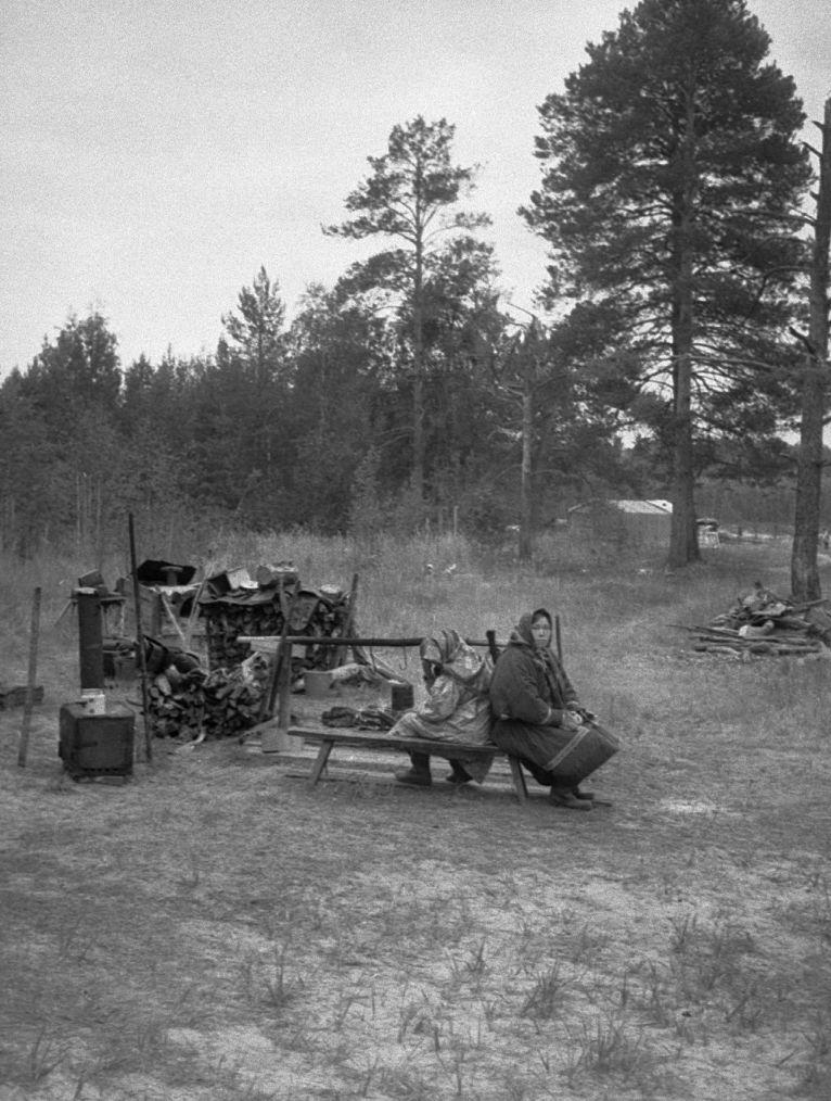 Hantide argipäev - Foto Maie Jõgi